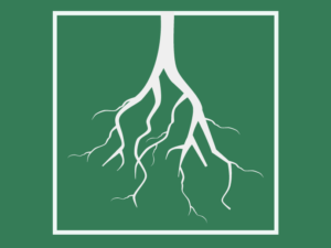 Tree Root Graphic